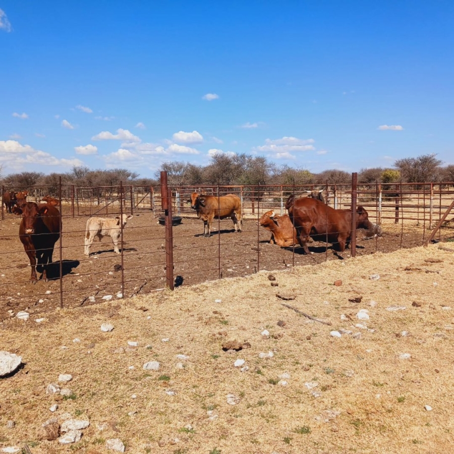  Bedroom Property for Sale in Barkly West Rural Northern Cape